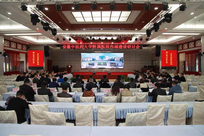 安徽中醫(yī)藥大學附屬醫(yī)院內(nèi)涵建設(shè)研討會在蕪湖召開(圖6)