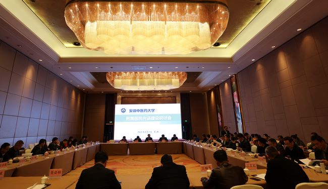 安徽中醫(yī)藥大學附屬醫(yī)院內(nèi)涵建設(shè)研討會在蕪湖召開(圖13)