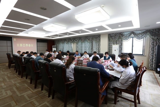 【黨史學(xué)習(xí)教育】夯實基層支部建設(shè)   推進黨史學(xué)習(xí)教育 ——我院召開支部書記工作會議(圖2)