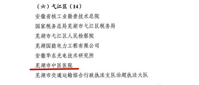 蕪湖市中醫(yī)醫(yī)院榮獲第十五屆文明單位標(biāo)兵稱號(圖2)