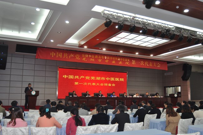 我院第一次黨員代表大會預備會召開(圖1)