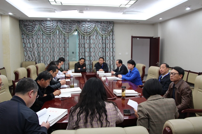 發(fā)揚(yáng)民主，凝聚共識，科學(xué)決策——各代表團(tuán)分組討論(圖8)
