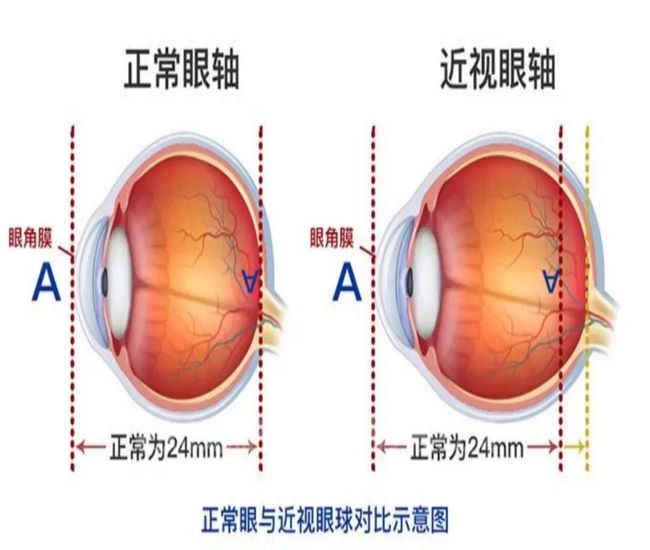 圖片2 (復制).jpg