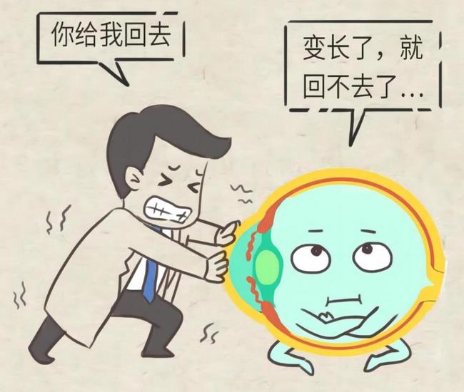 圖片5 (復制).jpg