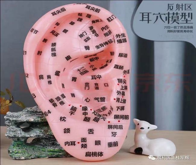 圖片7 (復制).jpg