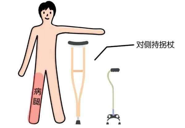 拐杖的“左右為難”——您會正確使用拐杖嗎？(圖2)