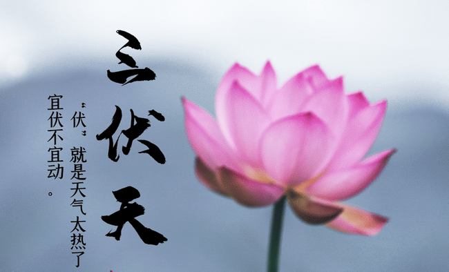 圖片4 (Copy).png