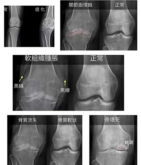 圖片4 (Copy).png