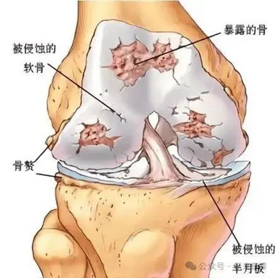 圖片10 (Copy).png