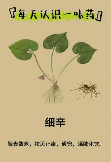 圖片3 (Copy).jpg