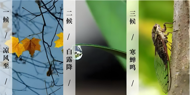圖片3 (Copy).png