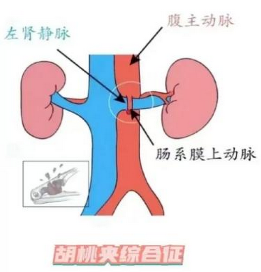 圖片2 (Copy).png
