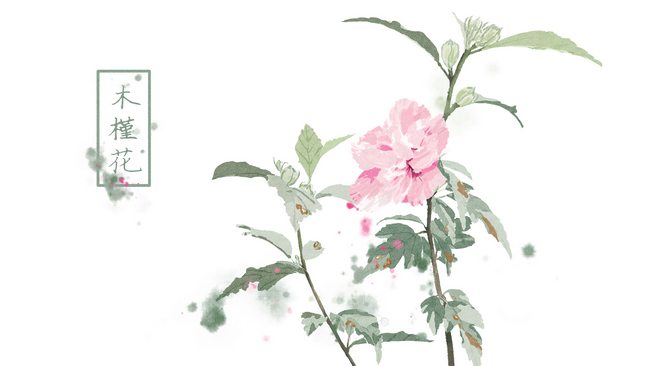 圖片7 (Copy).png