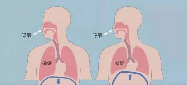 圖片26 (Copy).png
