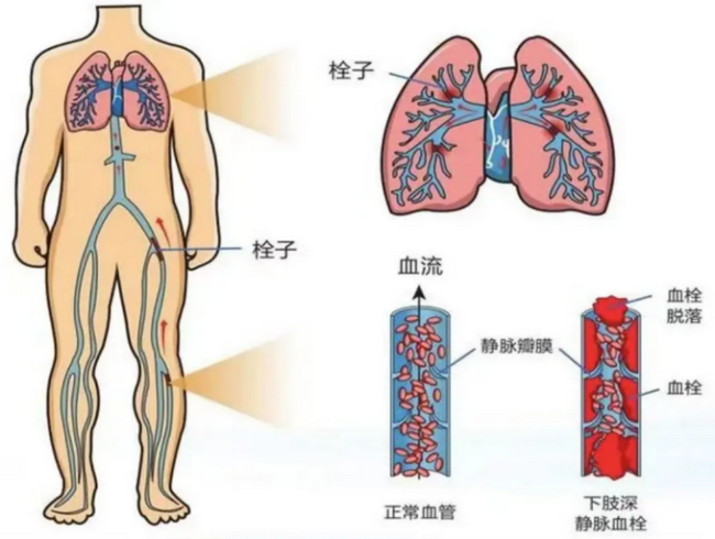 圖片18 (Copy).png